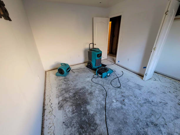Best Water damage contractors near me  in Galax, VA